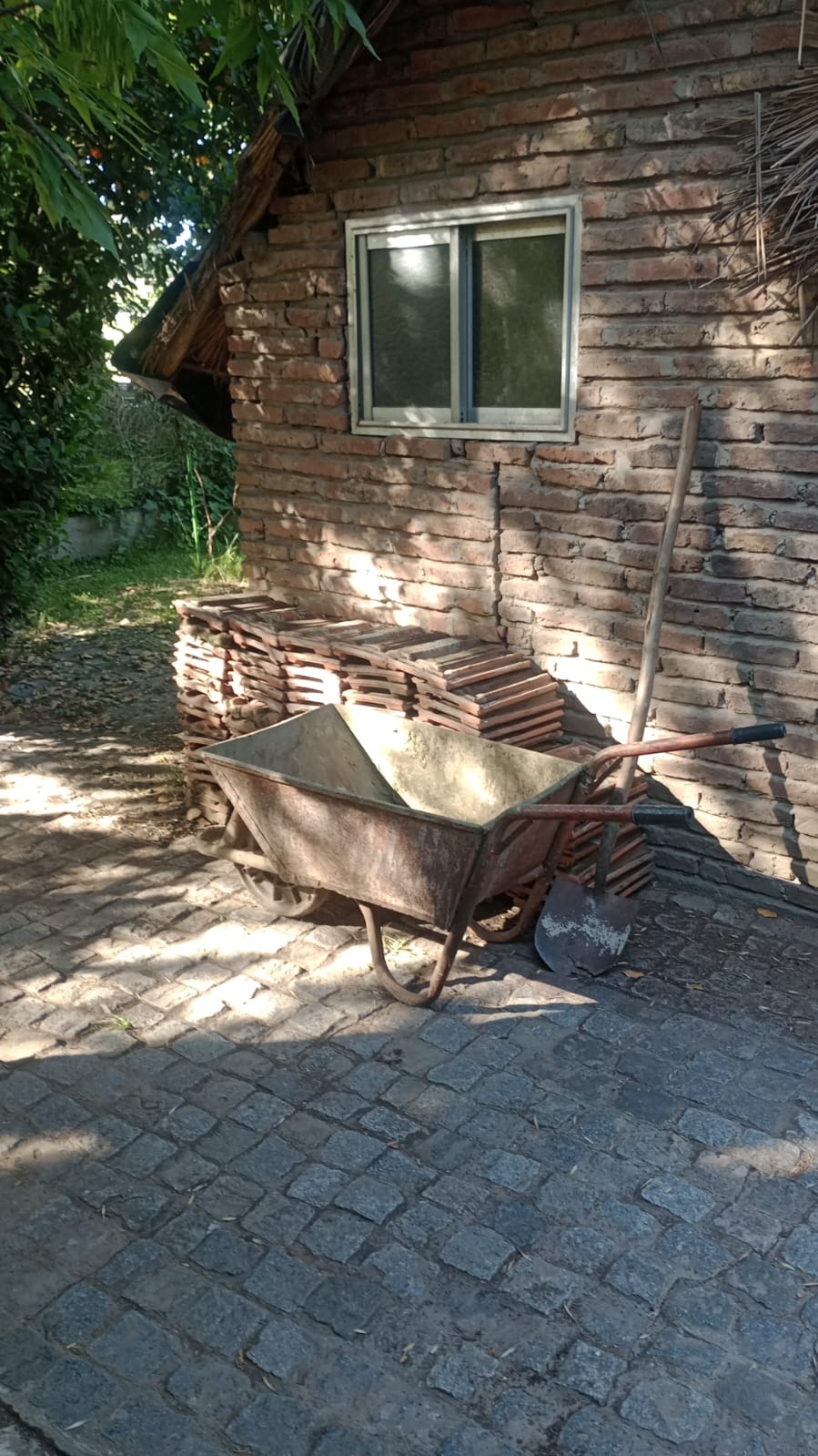 WhatsApp Image 2024-11-24 at 08.16.46.jpeg